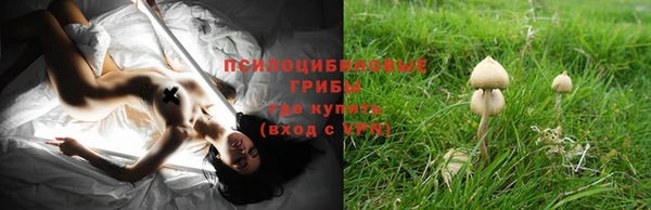 дмт Нея