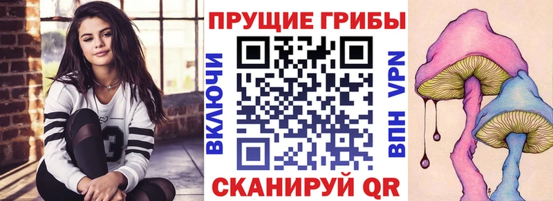 Галлюциногенные грибы мицелий  Владивосток 